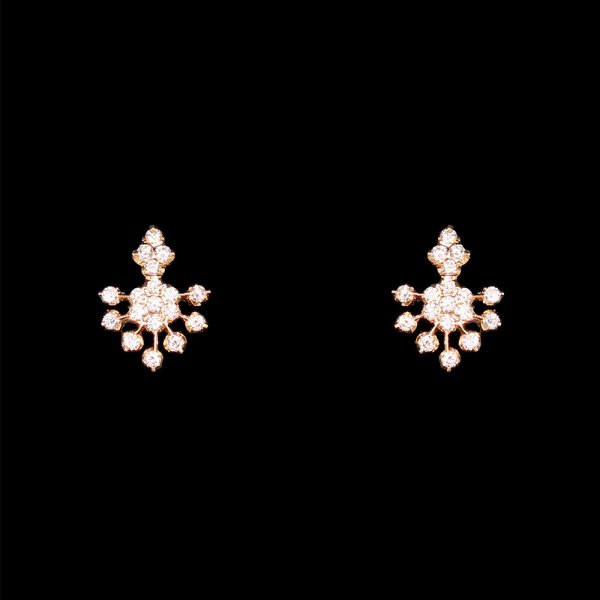 Earring 009