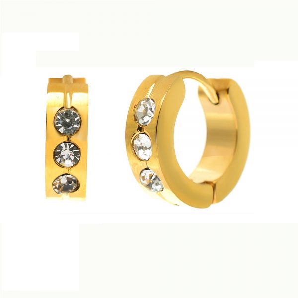 Earring 005