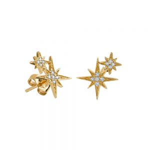 Earring 013